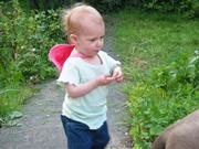 IMG_0739.JPG