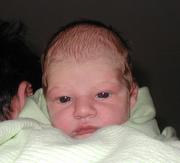 bigeyes.jpg